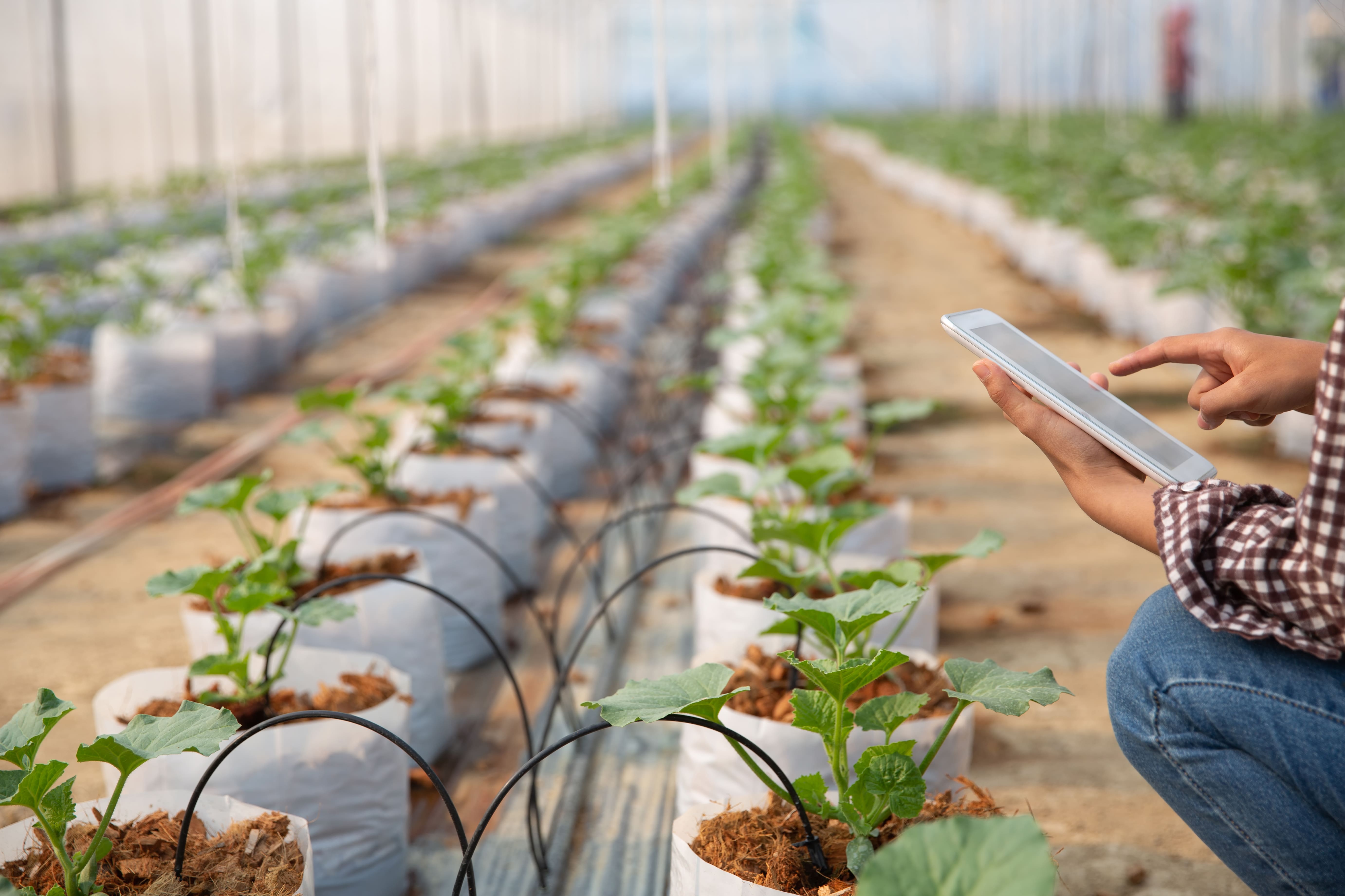 Irrigation & Tech