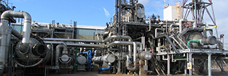 Harbor Stone Factory and Plant Services